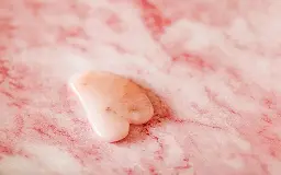 Gua Sha rose 