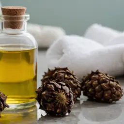 L'huile de ricin : Votre nouveau secret naturel anti-rides